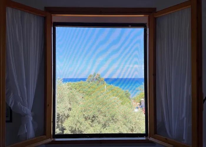 Daire Luxury House Front